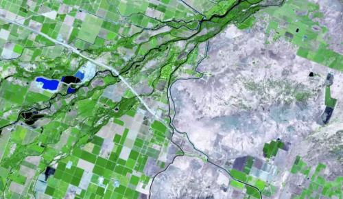 Mapování